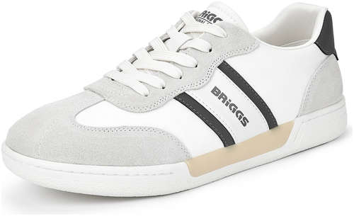 BRIGGS 098-5430A-2201 / 10558064 - вид 2