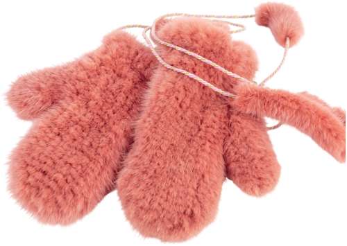 Варежки Carolon 3086434 125161274