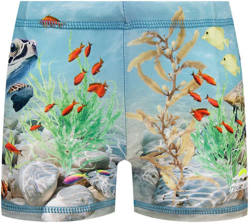 Плавки Molo 2778083 125142187