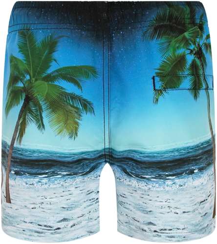 Шорты пляжные Molo 2664412 / 125156919 - вид 2