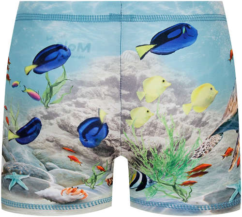 Плавки Molo 2778083 / 125142187 - вид 2