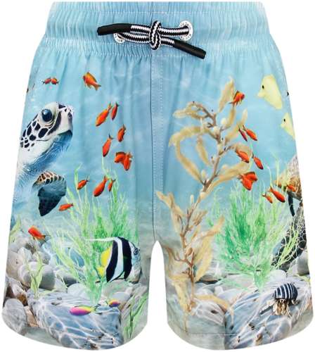 Шорты пляжные Molo 2778089 125157251