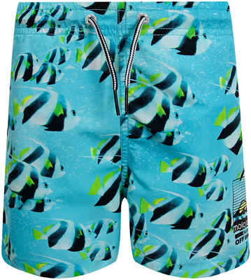 Шорты пляжные Molo 2527099 12548988
