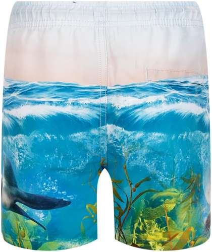 Шорты пляжные Molo 2664402 / 125156920 - вид 2