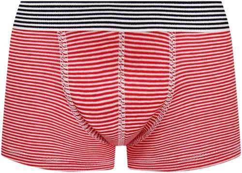 Трусы PETIT BATEAU 3053054 / 125150480 - вид 2