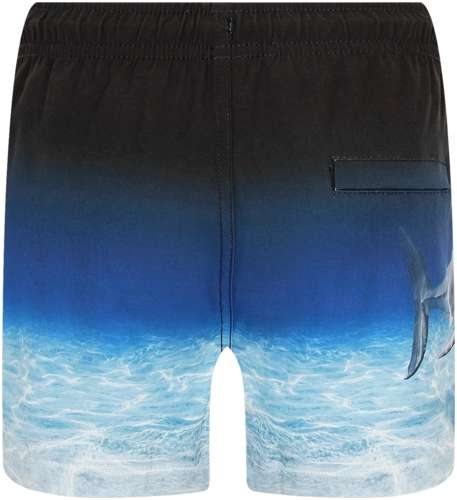 Шорты пляжные Molo 2744773 / 125157032 - вид 2