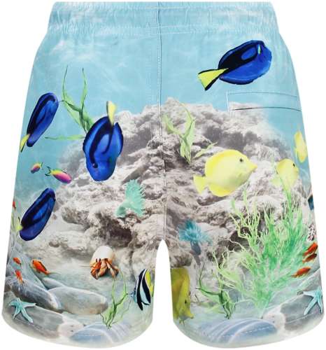 Шорты пляжные Molo 2778089 / 125157251 - вид 2