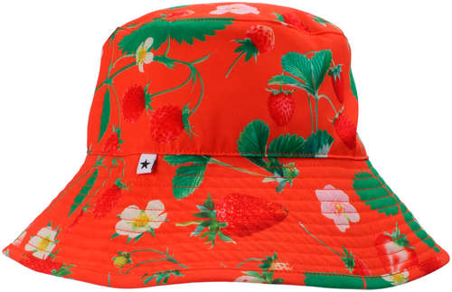 Панама Molo 2778147 125142194