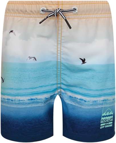 Шорты пляжные Molo 2635108 125156865