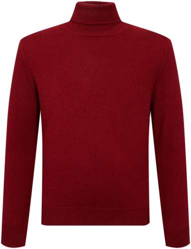 Водолазка Il Gufo 3002389 125148768