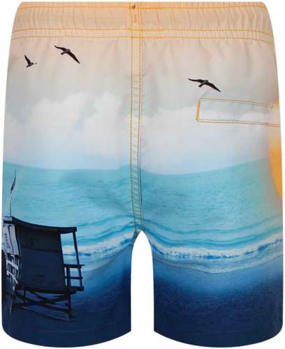 Шорты пляжные Molo 2635108 / 125156865 - вид 2