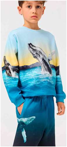 Шорты Molo 2777840 / 125152944 - вид 2