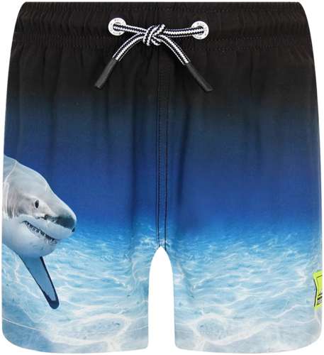 Шорты пляжные Molo 2744773 125157032