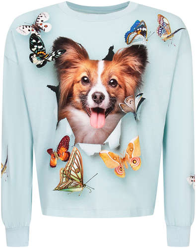 Лонгслив Molo 2707938 125131232