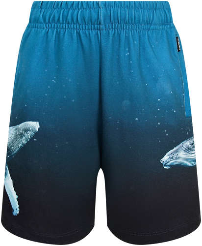 Шорты Molo 2777840 125152944