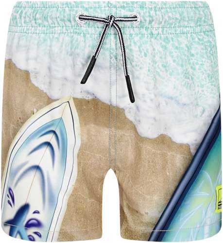 Шорты пляжные Molo 2744746 125157052