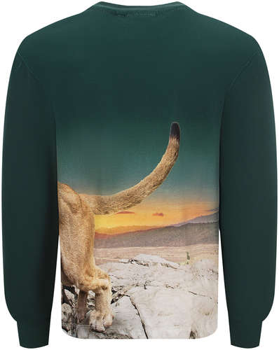 Лонгслив Molo 2692276 / 125130016 - вид 2