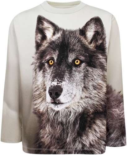 Лонгслив Molo 3053366 125155243