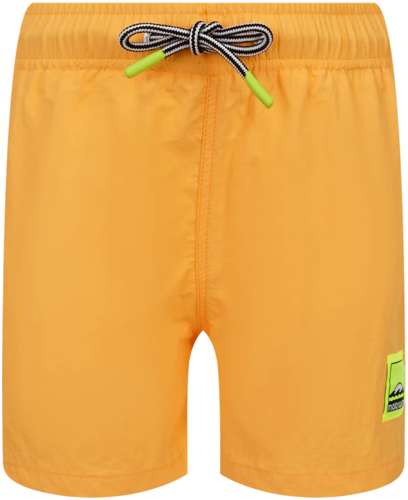 Шорты пляжные Molo 2635085 125156872