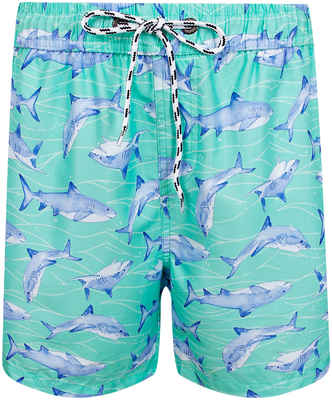 Шорты пляжные SNAPPER ROCK 2405528 12519912