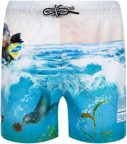 Шорты пляжные Molo 2664402 125156920