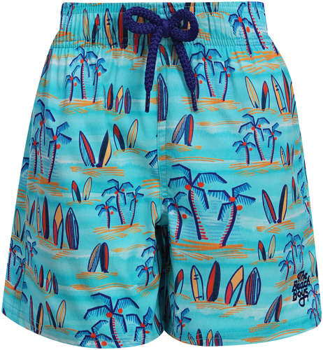 Шорты пляжные VILEBREQUIN 2572793 12571699