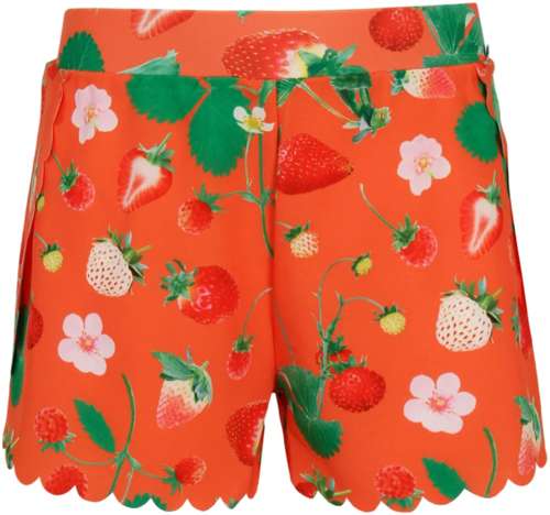 Шорты пляжные Molo 2778061 125157215