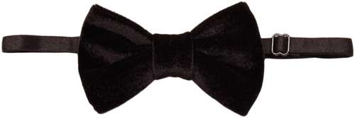 Бабочка Prairie 2791310 125145143