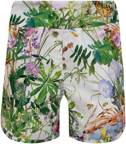 Шорты пляжные Molo 2635070 125156868