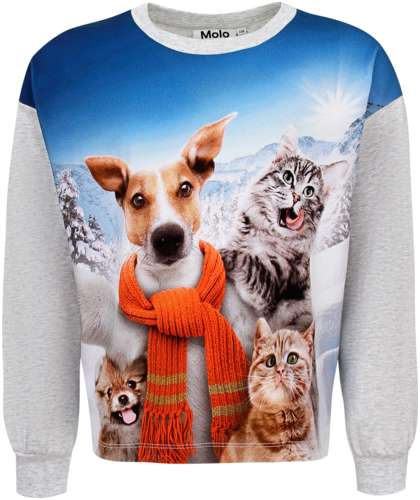 Лонгслив Molo 3053418 125155248