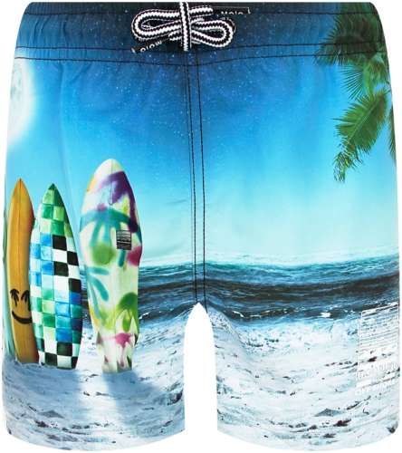 Шорты пляжные Molo 2664412 125156919