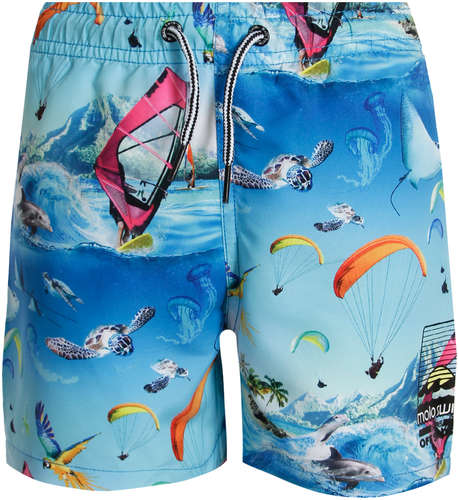 Шорты пляжные Molo 2561640 12567453
