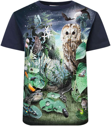 Футболка Molo 2657942 125128517