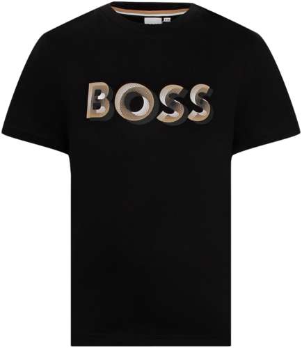 Футболка BOSS 3094167 125161850