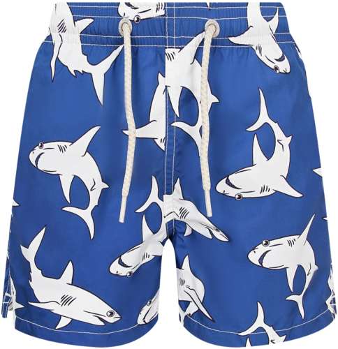 Шорты пляжные MC2 Saint Barth 2776891 125157159