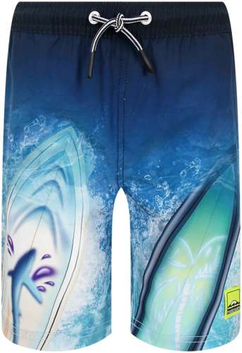 Шорты пляжные Molo 2744726 125157046