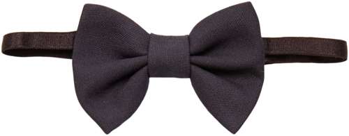 Бабочка Prairie 2588235 12579345