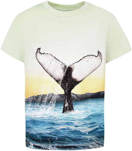 Футболка Molo 2777666 125152865