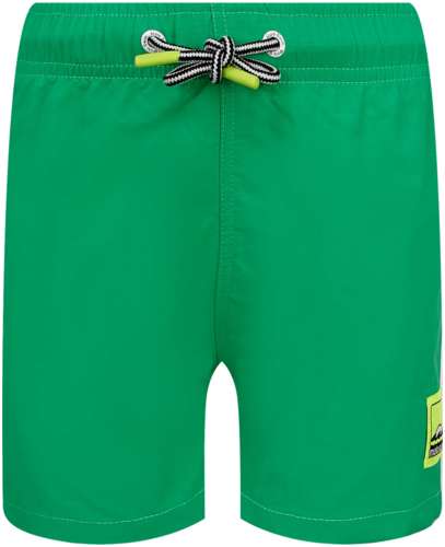 Шорты пляжные Molo 2634977 125156864