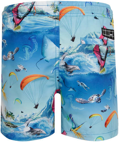 Шорты пляжные Molo 2561640 / 12567453 - вид 2