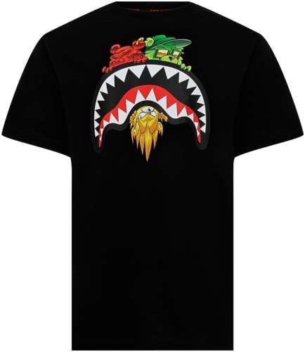 Футболка SPRAYGROUND 3075338 125156671