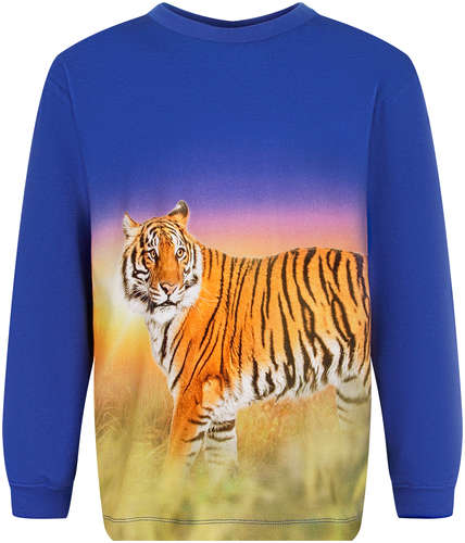 Лонгслив Molo 2640044 125131818