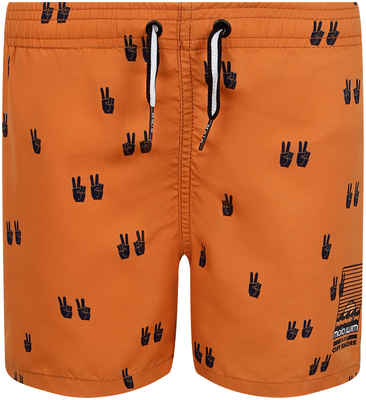 Шорты пляжные Molo 2430898 12517178