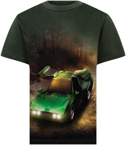 Футболка Molo 3047750 125155137