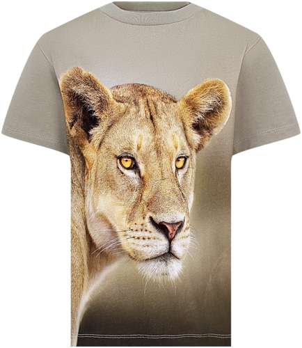 Футболка Molo 3047679 125155133