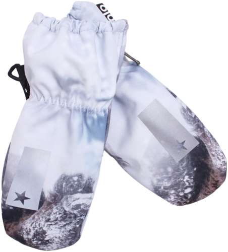 Варежки Molo 2996623 125148501