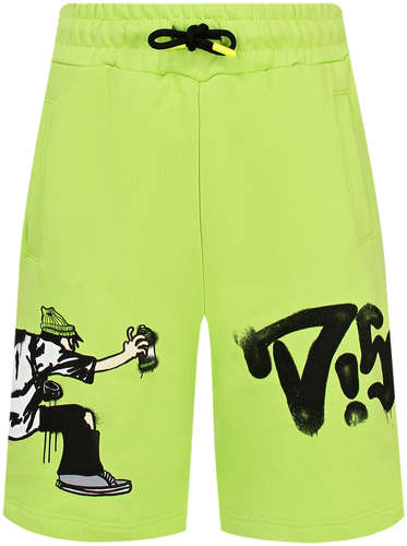 Шорты DISCLAIMER 2775169 125152514