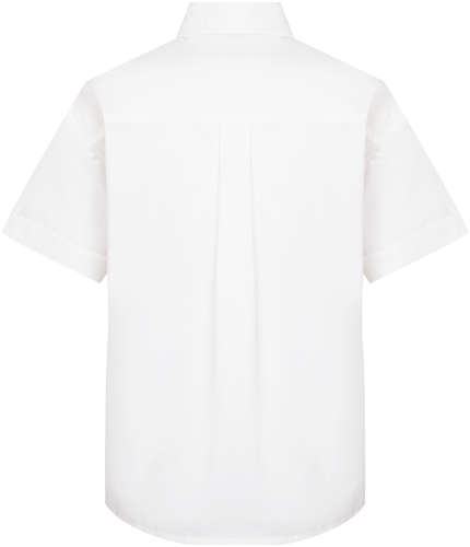 Рубашка Dolce & Gabbana 2761177 / 125151635 - вид 2