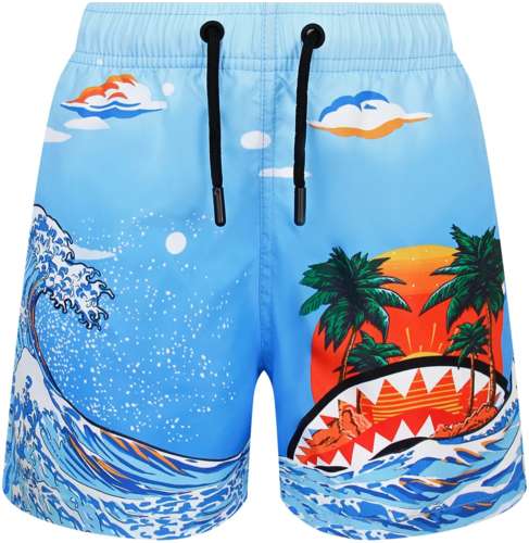 Шорты пляжные SPRAYGROUND 2776644 125157179