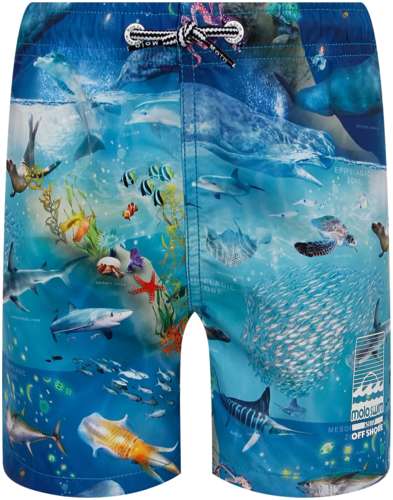 Шорты пляжные Molo 2634944 125156869